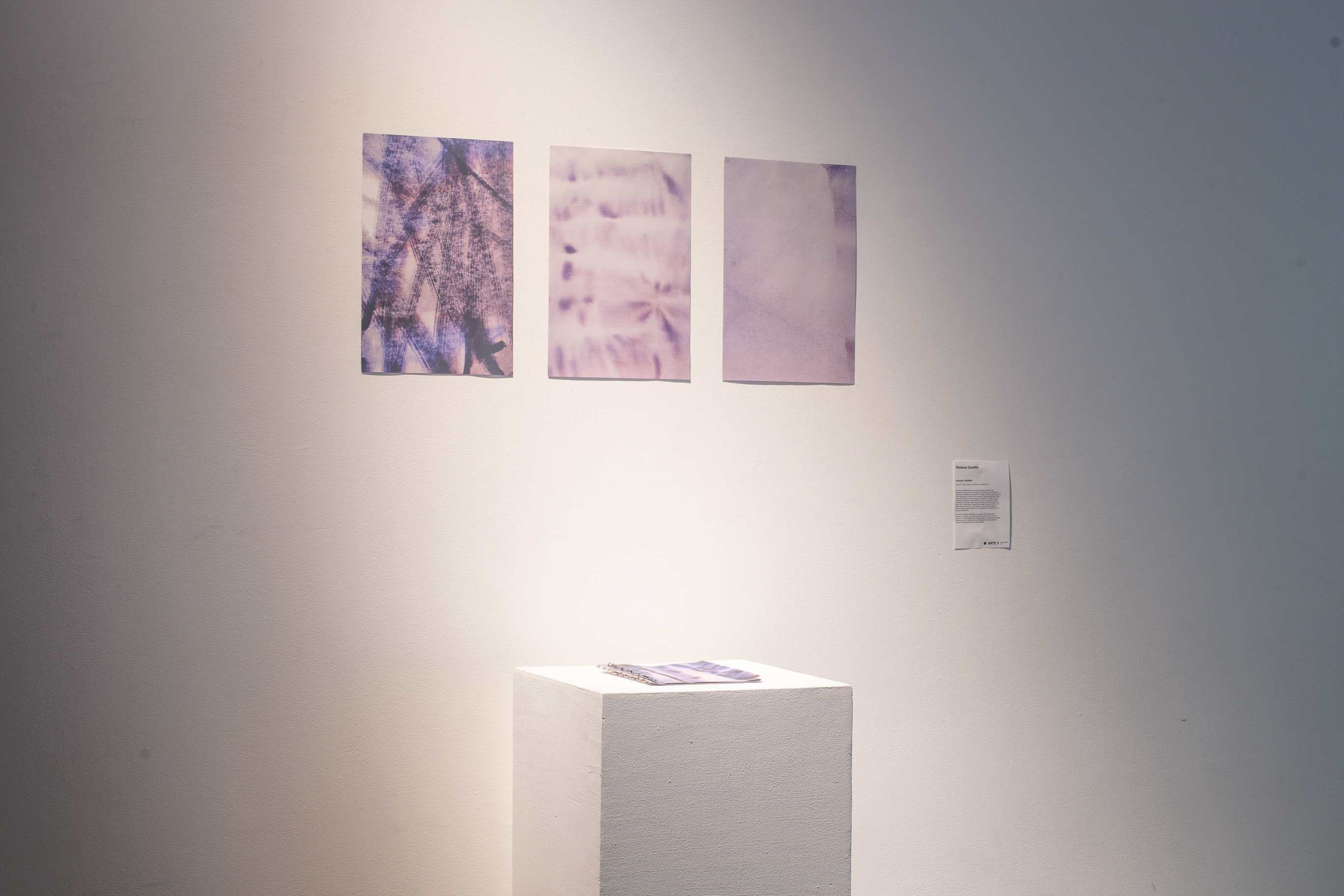 three posters with purple textures printed on them are pinned on a white wall, with a white podium in the center featuring a book with pages of purple images.